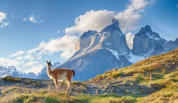 Chili roadtrip: majestueuze gletsjers & wild Patagonië (8 bestemmingen)