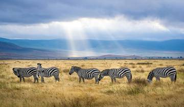 Safari de luxe de 6 jours dans le Tarangire, le Ngorongoro et le Serengeti circuit