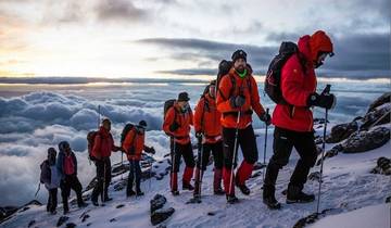 De beste 5 daagse trektochten over de Lemosho Route Kilimanjaro