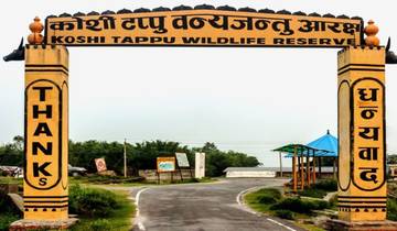 Visite de la faune de Koshi Tappu circuit