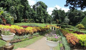 Sri Lanka Express 15 Touristenorte in 6 Tagen & Abstecher nach South Beach Tour