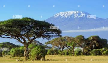 7 Tage Majestic Kenia Safari Rundreise