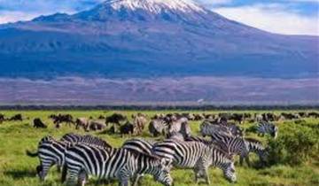 2 Days 1 Night Amboseli National Park Tour