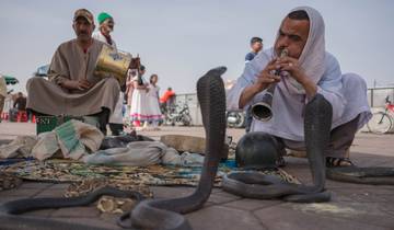 Circuito Circuito de 12 días desde Casablanca. Lo más destacado de Marruecos.