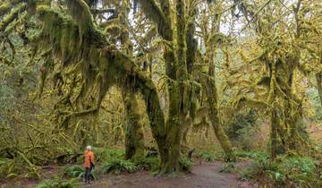 Discover the Pacific Northwest