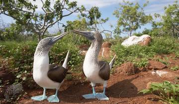 Highlights of Peru (Galapagos Legend, 13 Days, Intra Trip Air & Surcharges Galapagos Cruise)