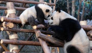 7 Days in China, incl. Beijing and Xi'an