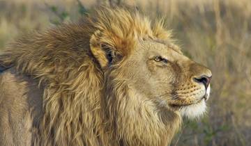 Cape Town to Johannesburg Overland Safari & Participation Camping