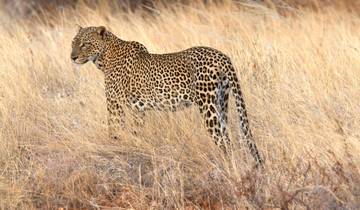 Cape Town to Johannesburg Overland Safari & Participation Camping