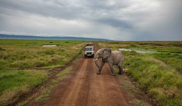 Kenya to Zimbabwe Overland Safari