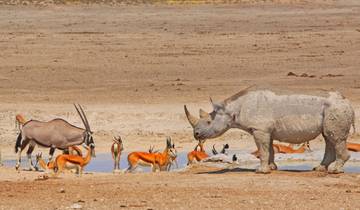 14 Days in Southern Africa, incl. Namibia and Cape Town