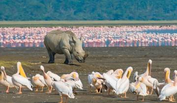 Lake Nakuru in a Day: Wildlife and Wonders Tour