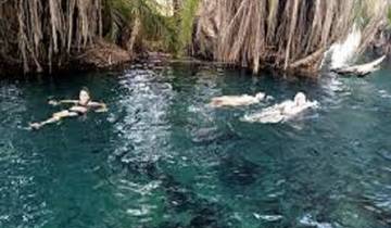 Materuni Waterfalls Day Trip Walking Tour Tour