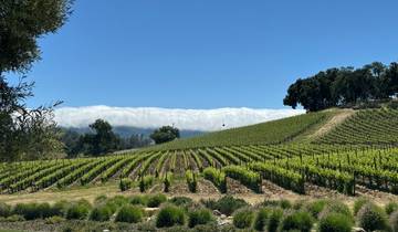 La côte centrale de la Californie depuis San Francisco : Les séquoias de la côte, Santa Cruz, le château de Hearst et la région viticole