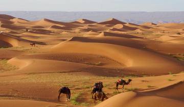 Trekking au Mont Toubkal et circuit dans le désert du Sahara au Maroc - 5 jours circuit