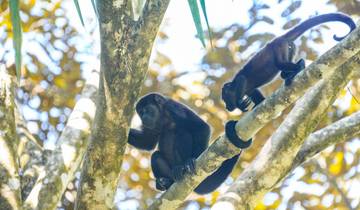Tailor-made 11 Days Costa Rica Vacation with Canopy Tour, Daily Stars Tour