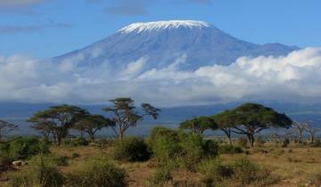 1 day mount Kilimanjaro short trek