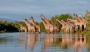 3 Tage Selous-Tour (Nyerere-Nationalpark) ab Sansibar