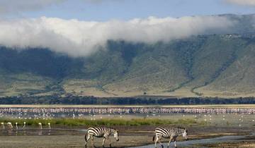Die Majestätisches 3 Tage Tansania Safari Gemeinsame Safari Rundreise