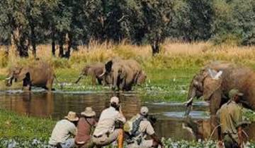 3 Days Tanzania Private Safari Adventures