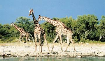 Gondwana Collection : Livre d\'images de la Namibie circuit