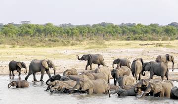 Zambezi Queen circuit