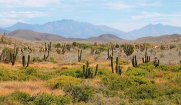 Baja California zwischen Wuste und Meer