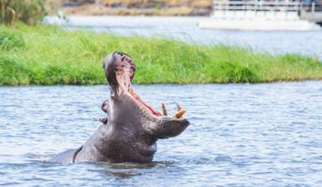 7 Days in Botswana, incl. Okavango Delta and Khwai Reserve