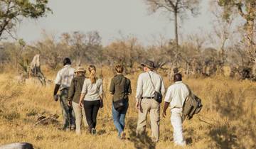 Private Botswana Unberührte Safari Rundreise