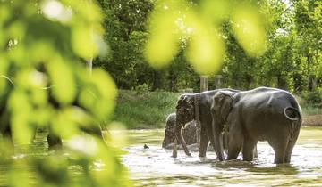 Northern Thailand with Golden Triangle (group tour without Bangkok) Tour