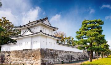 Le Japon à l\'Exposition universelle (vol inclus) circuit