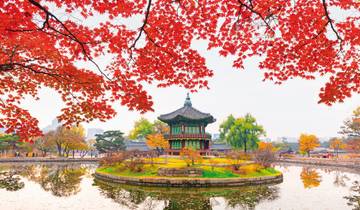 Sudkorea aktiv (inkl. Flug)