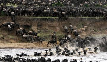 9-Day the Best Great Migration Luxury Safari in Tanzania Tour