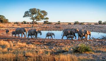 14 Tage Naturwunder Namibia, Botswana und Simbabwe