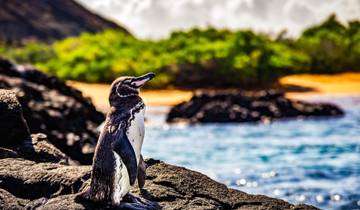 Best of the Galapagos