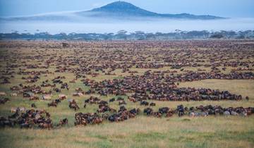 4-Day Calving Season Safari in Ndutu and Central Serengeti