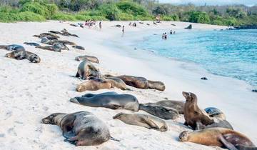 Galapagos Uncovered