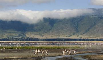 3-Day Comfort plus (Serengeti & Ngorongoro Safari)