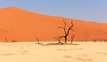 Botswana & Namibia: Delta & Dunes