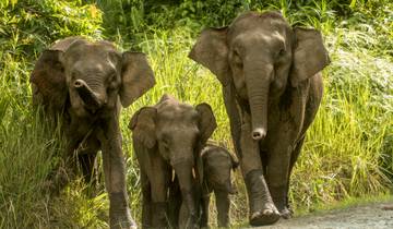 Borneo Family Holiday Comfort (5 destinations)