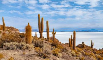 Best of Bolivia: La Paz to Uyuni