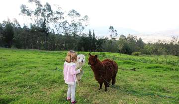 Itinéraire familial de 10 jours : Quito, Mindo, Otavalo, Cotopaxi, Baños, Quilotoa