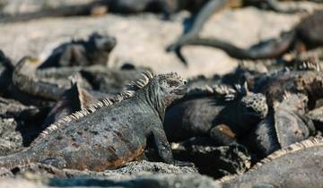 Galapagos Island Hopping