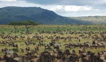 3-tägige Serengeti Flugsafari ab Arusha