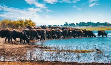 3-Day Tour from Zanzibar - Tarangire Ngorongoro -Manyara