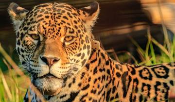 14 Days in Argentina, incl. Buenos Aires and Iguazú Falls