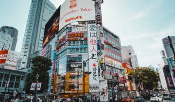 Japan city-hopping: High-speed adventure on the Shinkansen Rundreise