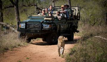 3 Tage Etosha Privatreisereise Safari