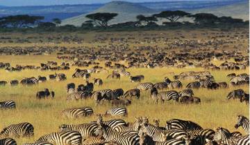 4 Tage Serengeti & Ngorongoro Erlebnis Rundreise