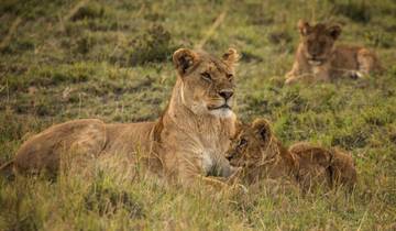 4-Day Tarangire, Ngorongoro & Manyara Comfort Safari